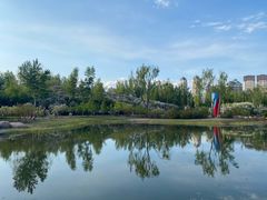 -群力丁香公园