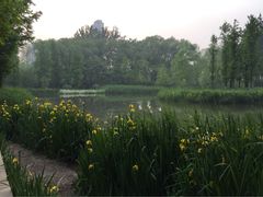 济南森林公园-济南森林公园