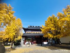 -北寺塔
