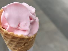 -吴星星毛血旺烤鱼