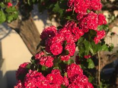 -LUNEURS月乐诗·法式冰淇淋(环贸店)