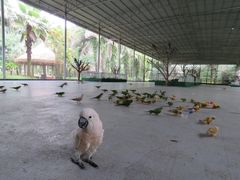 -广东茂名森林公园