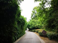 -贵阳市花溪国家城市湿地公园