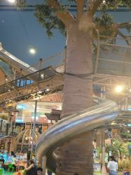 -卡通尼·Safari非洲探索乐园·生日会(金桥国际商业广场店)