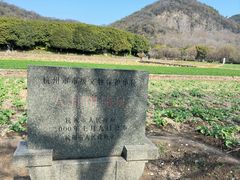 -八卦田遗址公园