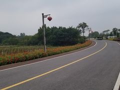 -杏花村文化旅游区