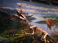 -自贡恐龙博物馆