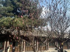 -护国法轮寺