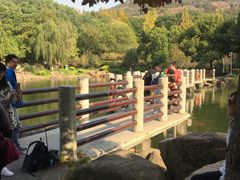 -白马涧龙池景区