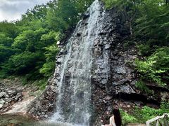 -龙道沟景区