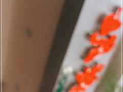 -方中山胡辣汤(成都首店)