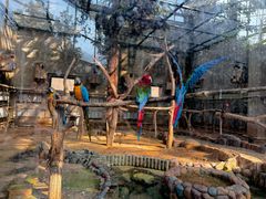 -大连森林动物园