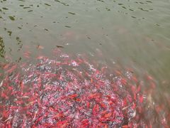 -迎泽公园