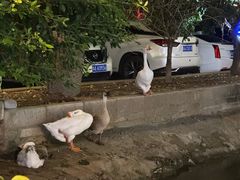 -新合益乡村农庄