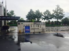 场地-大宁郁金香公园-停车场