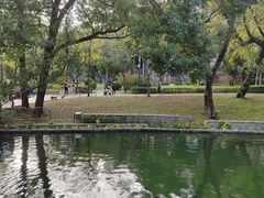 -四海公园(南山区)