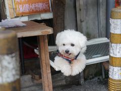 -菁桐火车站