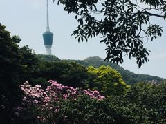 -梧桐山风景名胜区