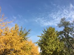 -辽宁大学(崇山校区)