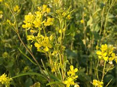 -长春公园(普阳街道)