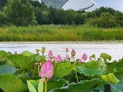 -哈尔滨大剧院