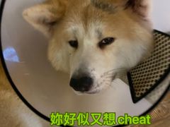 -YCHL Studios健身工作室(市二宫店)