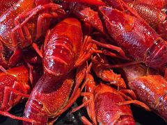 -一棠龙虾(日月光中心广场店)