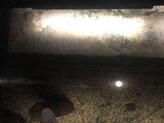 -元代水闸遗址博物馆