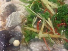 清蒸鲈媚-郑厨私房菜
