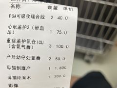 -美美宠物诊疗中心·异宠·骨科(滨江东信分院)