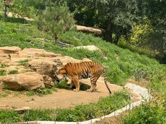 -北京野生动物园