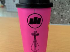 -雾与山茶(大禹城店)