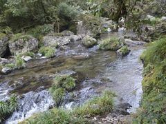 -龙苍沟森林公园