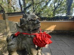 -普陀山风景名胜区-法雨禅寺