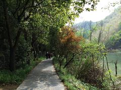 -夏霖九天银瀑风景区