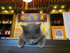 -52HZ主题桌游馆(解放西路店)