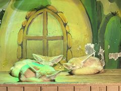 -萌宠奇缘(荣鼎店)