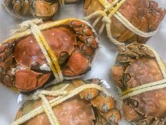 -观桥阁(锦溪店)