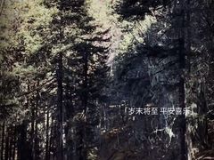 -普达措国家公园