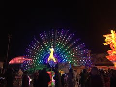 -淄博花灯齐彩城