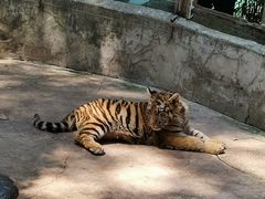 -昆明动物园