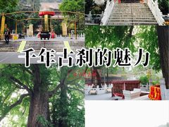 -潭柘寺景区