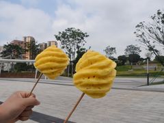 -红花山公园