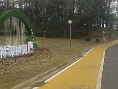 -瑶湖郊野森林公园