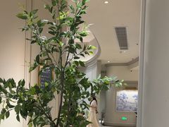 -狮王府淮扬菜(万象城店)