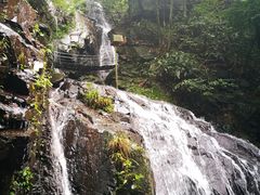 -藏龙百瀑风景区