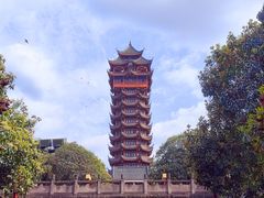 -塔子山公园