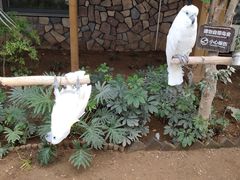 -南宫五洲植物乐园