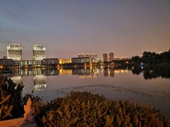 -尚贤河湿地