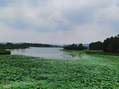 -东湖落雁景区